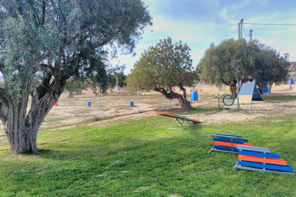 Trabajo Deportivo