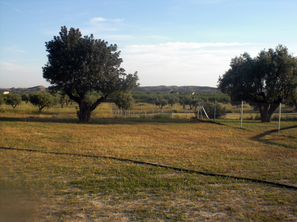 Trabajo Deportivo